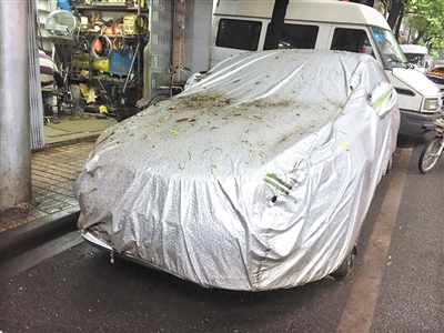 汽车车衣
